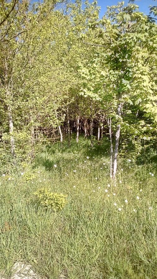Domaine De Gentilly Saint-Maurice-lès-Charencey Eksteriør bilde